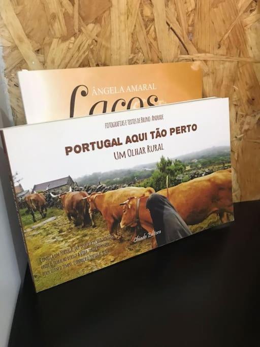 Rustico T1 No Centro Cidade Guarda Ngoại thất bức ảnh